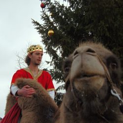 Zavírání Vánoc se třemi králi a velbloudy