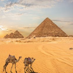 EGYPT – dar Nilu